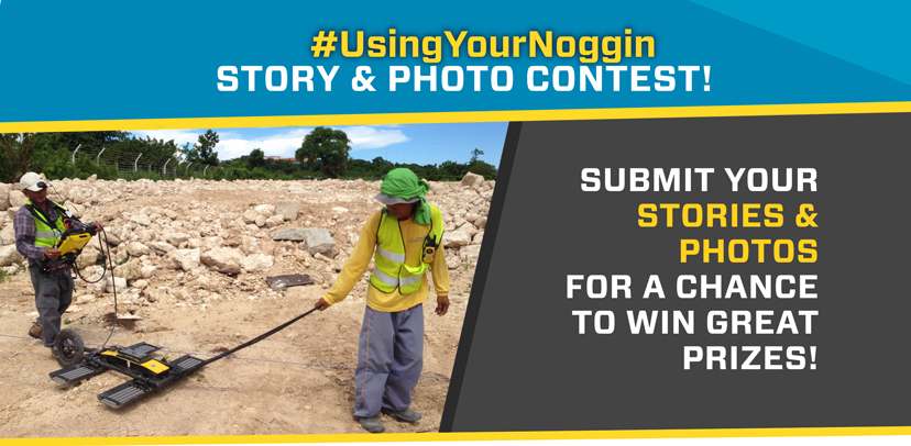 noggin contest hero image